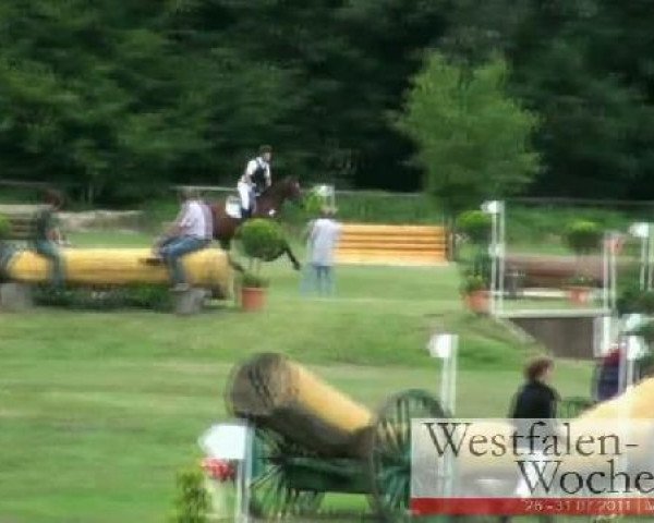 Westfalen-Woche Münster-Handorf
Freitag, 29. Juli 2011
22 Geländeprüfung Kl. A