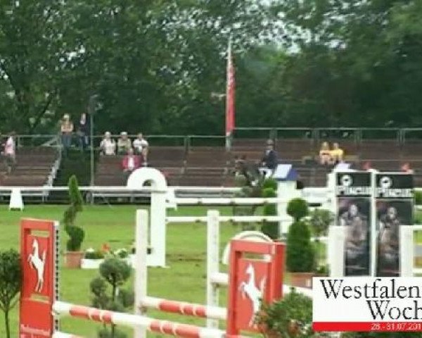 Westfalen-Woche Münster-Handorf
Donnerstag, 28. Juli 2011
62 Springprüfung Kl. M**für 6-8jähr. Pferde