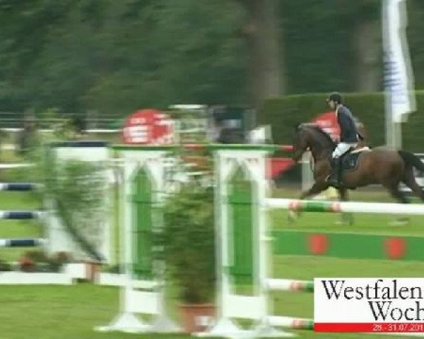Westfalen-Woche Münster-Handorf
Donnerstag, 28. Juli 2011
62 Springprüfung Kl. M**für 6-8jähr. Pferde
