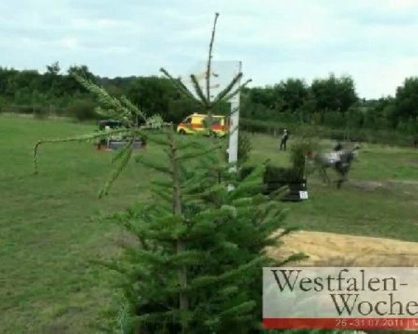 Westfalen-Woche Münster-Handorf
Freitag, 29. Juli 2011
22 Geländeprüfung Kl. A
