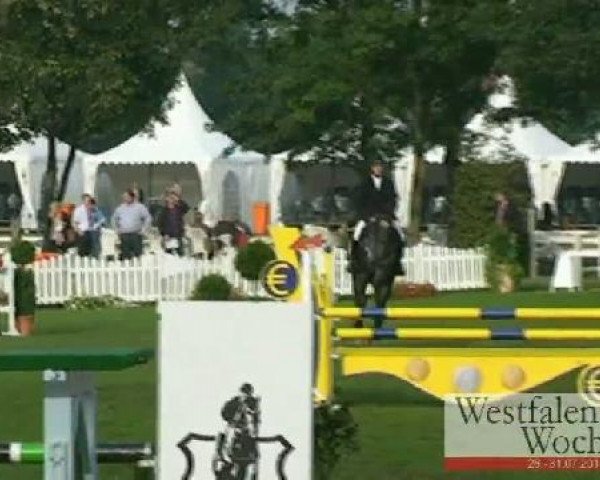 Westfalen-Woche Münster-Handorf
Donnerstag, 28. Juli 2011
30 Springpferdeprüfung Kl. A** – 4j. Pferde
