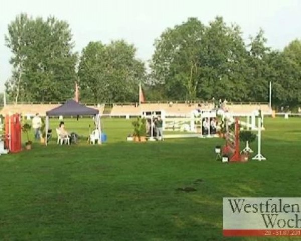Westfalen-Woche Münster-Handorf
Donnerstag, 28. Juli 2011
30 Springpferdeprüfung Kl. A** – 4j. Pferde
