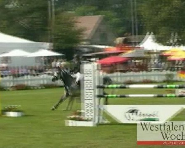 Westfalen-Woche Münster-Handorf
Donnerstag, 28. Juli 2011
28 Springprüfung Kl. M** – 6j. Pferde

