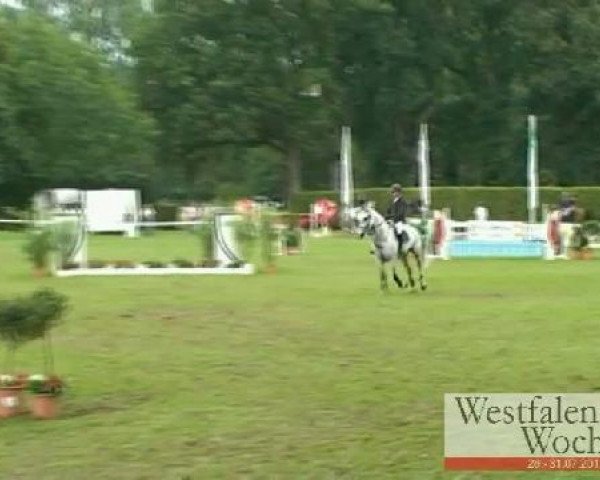 Westfalen-Woche Münster-Handorf
Donnerstag, 28. Juli 2011
29 Springpferdeprüfung Kl. M* – 6j. Pferde
