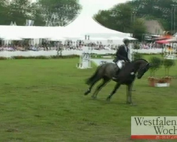 Westfalen-Woche Münster-Handorf
Donnerstag, 28. Juli 2011
27 Springpferdeprüfung Kl. M* – 5j. Pferde
