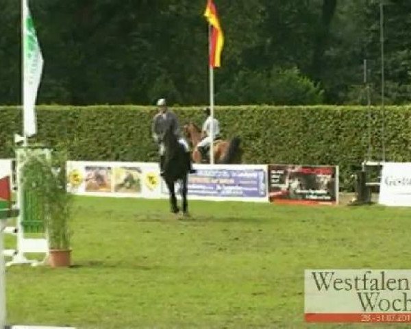 Westfalen-Woche Münster-Handorf
Donnerstag, 28. Juli 2011
27 Springpferdeprüfung Kl. M* – 5j. Pferde
