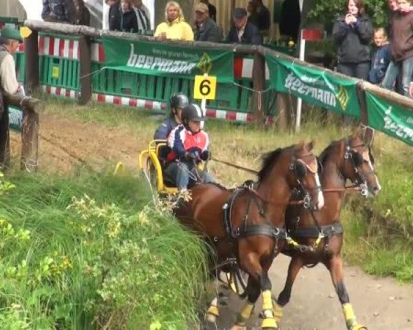 Riesenbeck INTERNATIONAL
Saturday, July 23rd 2011
08 Marathon CAIO - Pairs