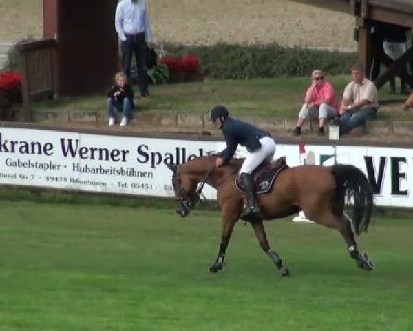 Riesenbeck INTERNATIONAL
Donnerstag, 21. Juli 2011
45 Springprüfung Kl. S*
-Große Tour-