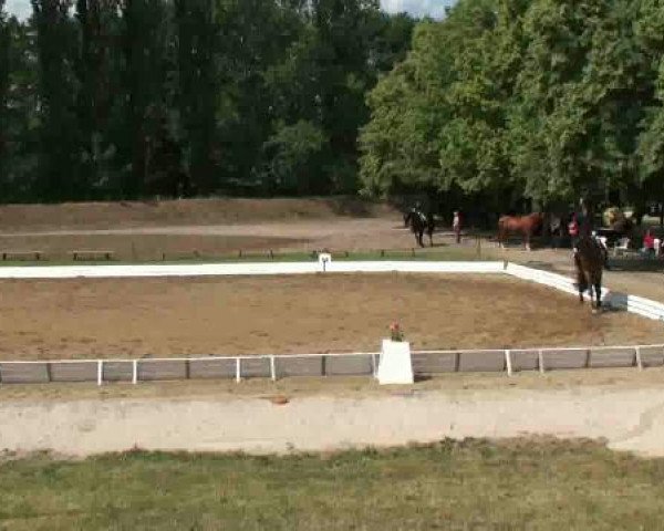Video von Lily M