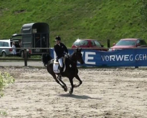 Video of Dayniera, Keep on smiling, Geralja's Undercover
