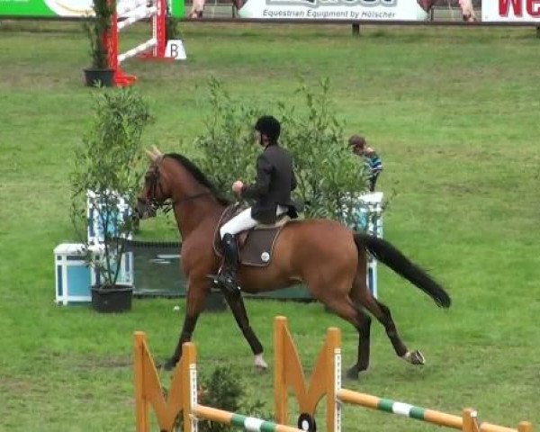 Riesenbeck INTERNATIONAL
Samstag, 23. Juli 2011
51 Springprüfung Kl. S**
(Finale Mittlere Tour)