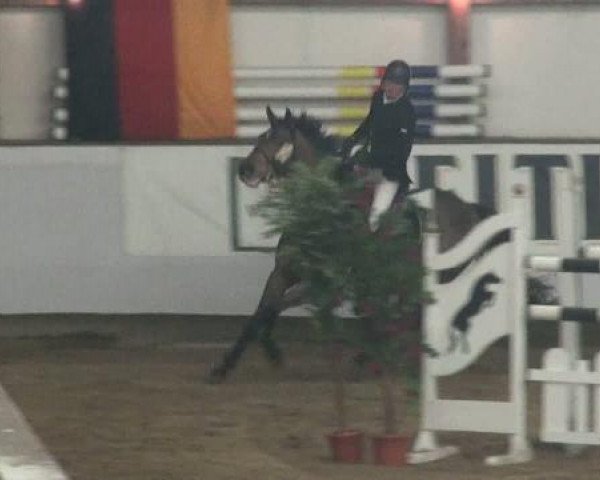Alt Marl 2010
Mittwoch, 29. Dezember 2010
04 Springprüfung Kl. S* mit Stechen
Abteilung 1