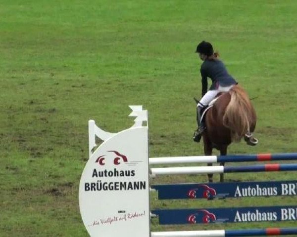 Riesenbeck INTERNATIONAL
Sonntag, 24. Juli 2011
30 Pony-Springprüfung Kl. M*
(Finale Ponyreiter)