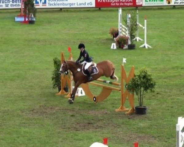 Riesenbeck INTERNATIONAL
Samstag, 23. Juli 2011
21 Ponystilspringprüfung Kl. A** mit 1 Stechen
(2. Wertungsprüfung Nachwuchschampionat Pony)