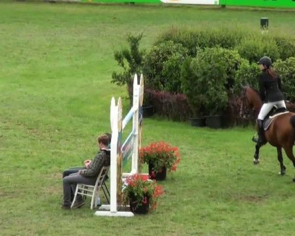 Riesenbeck INTERNATIONAL
Samstag, 23. Juli 2011
21 Ponystilspringprüfung Kl. A** mit 1 Stechen
(2. Wertungsprüfung Nachwuchschampionat Pony)