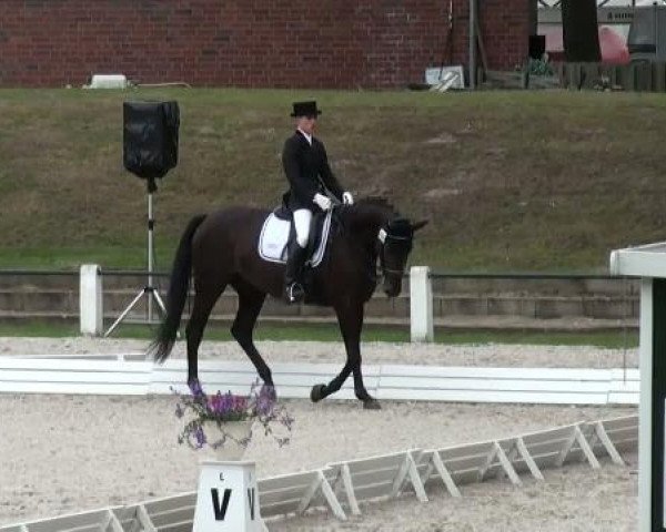 Riesenbeck INTERNATIONAL
Freitag, 22. Juli 2011
31 Dressurprüfung Kl. M** (1. Wertungsprüfung Junioren)