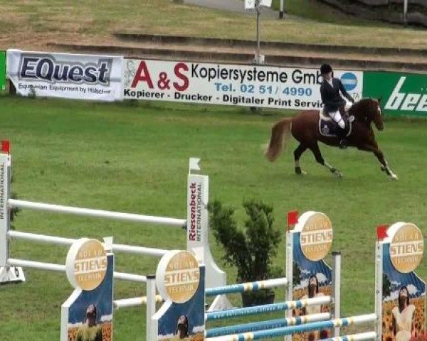 Riesenbeck INTERNATIONAL
Samstag, 23. Juli 2011
29 Ponyspringprüfung Kl. M*
(2. Wertungsprüfung Ponyreiter)