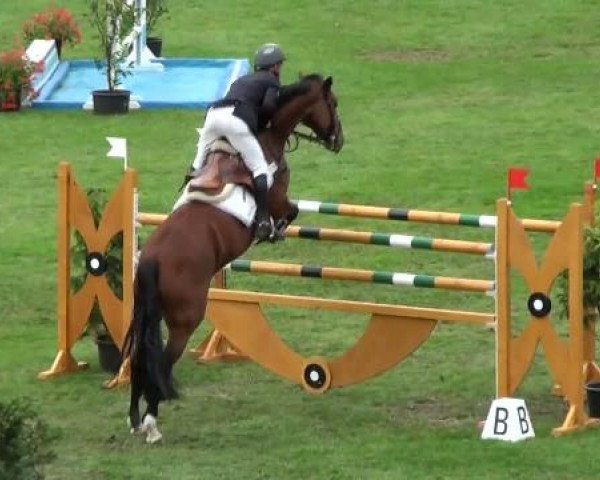 Riesenbeck INTERNATIONAL
Freitag, 22. Juli 2011
46 Springprüfung Kl. S m. St.** -Große Tour-