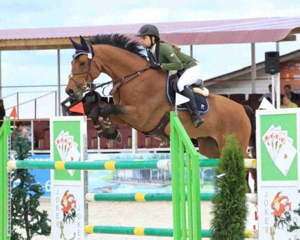 jumper Air Kiss (Hanoverian, 2004, from Acorado I)