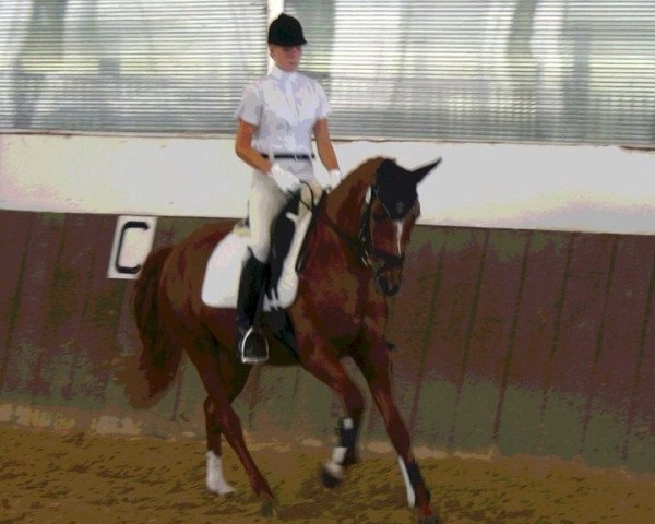 horse Flamme (Westphalian, 2002, from Feinsinn)