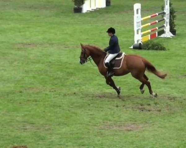 Riesenbeck INTERNATIONAL
Freitag, 22. Juli 2011
37 Zeitspringprüfung Kl. M **
(1. Wertungsprüfung Junioren)