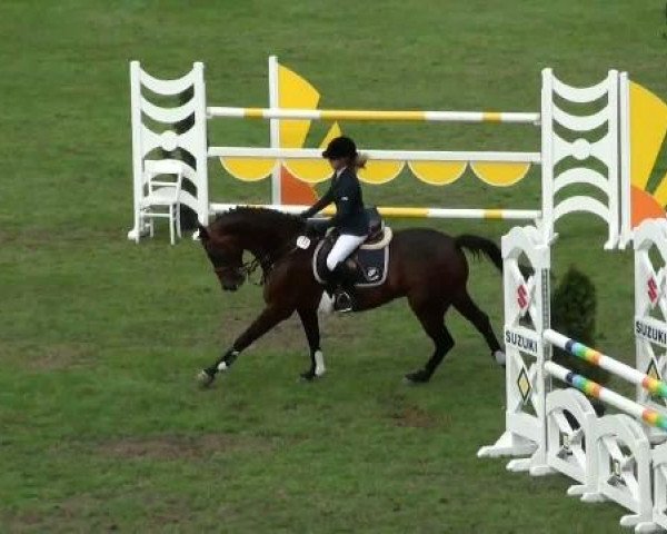 Riesenbeck INTERNATIONAL
Freitag, 22. Juli 2011
22 Stilspringprüfung Kl. L m. Standardanforderungen
(1. Wertungsprüfung Nachwuchschampionat)