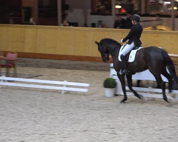 Reitturnier Hamburg-Friedrichshulde/Sylva Kuhrt 2022