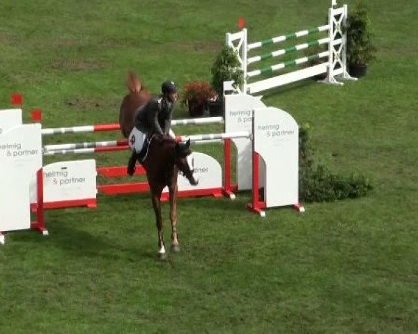 Riesenbeck INTERNATIONAL
Freitag, 22. Juli 2011
50 Zwei-Phasen-Springprüfung Kl. S*