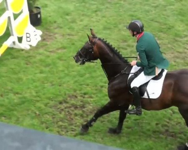 Riesenbeck INTERNATIONAL 
Donnerstag, 21. Juli 2011
49 Springprüfung Kl. S*