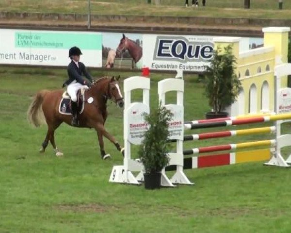 Riesenbeck INTERNATIONAL
Freitag, 22. Juli 2011
20 Ponystilspringprüfung Kl. A**
(1. Wertungsprüfung Nachwuchschampionat Pony)
