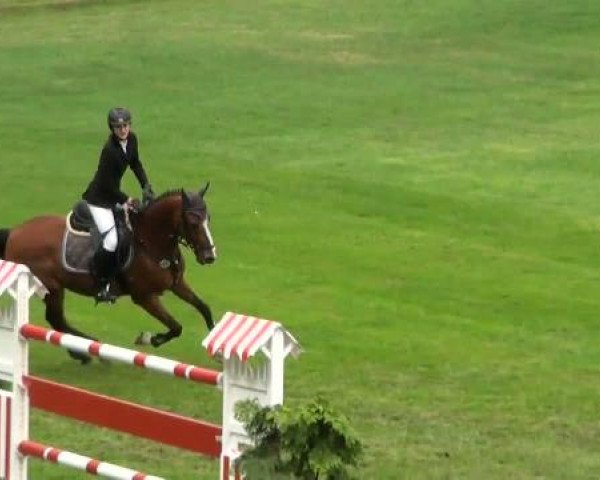 Riesenbeck INTERNATIONAL
Freitag, 22. Juli 2011
20 Ponystilspringprüfung Kl. A**
(1. Wertungsprüfung Nachwuchschampionat Pony)
