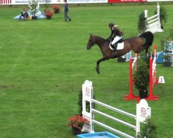 Riesenbeck INTERNATIONAL 
Mittwoch, 20. Juli 2011
55 Springpferdeprüfung Kl M* - 6j. Pferde
Qualifikation zum Bundeschampionat 2011