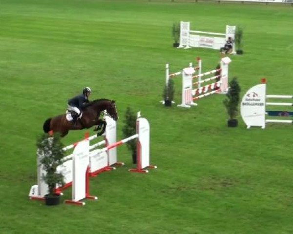 Riesenbeck INTERNATIONAL 
Mittwoch, 20. Juli 2011
55 Springpferdeprüfung Kl M* - 6j. Pferde
Qualifikation zum Bundeschampionat 2011