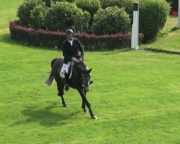 Riesenbeck INTERNATIONAL
Mittwoch, 20. Juli 2011 
52 Springpferdeprüfung Kl L - 5j. Pferde 
Einlaufprüfung