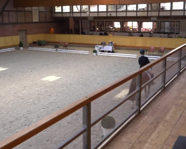Reitturnier Hamburg-Friedrichshulde/Sylva Kuhrt 2022