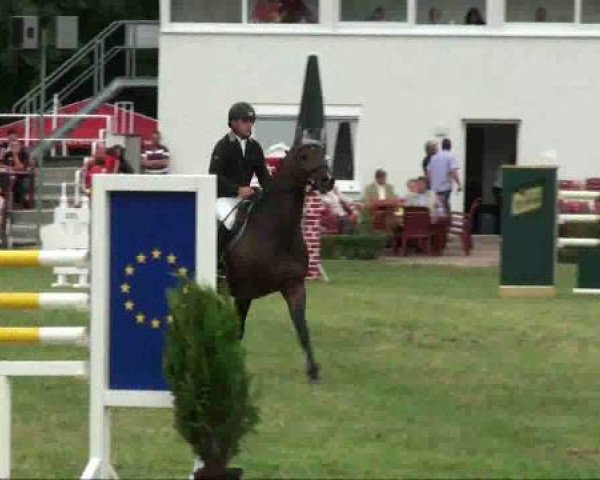 Turnier in Löbnitz
Samstag, 18. Juni 2011
08 Springprüfung Kl. S + 