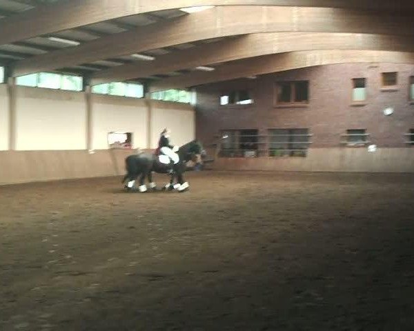 Video of Alana