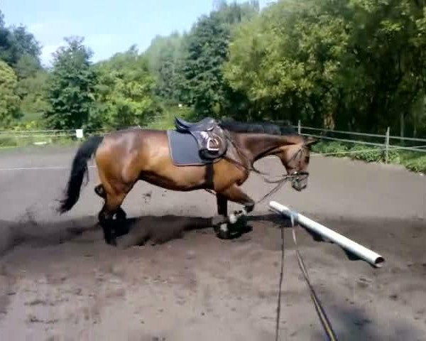 Video of C'est la vie 121