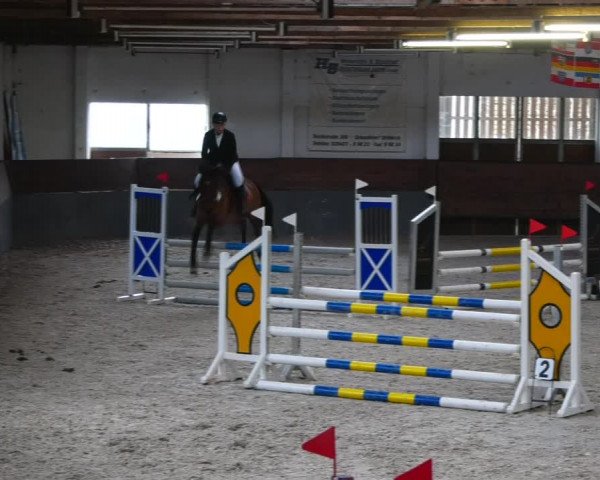 Neujahrsspringen Ströbeck Schachdorf 2022