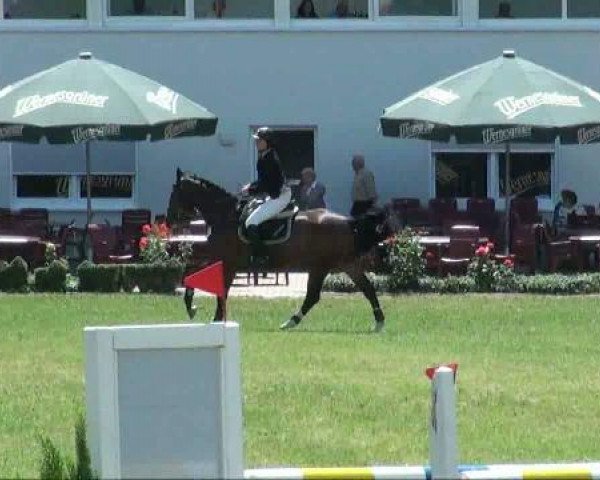Turnier in Löbnitz
Freitag, 17. Juni 2011
03 Zeitspringprüfung Kl M ++