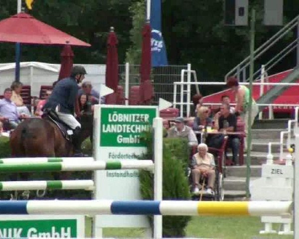 Turnier in Löbnitz
Samstag, 18. Juni 2011
08 Sprinprüfung Kl. S +