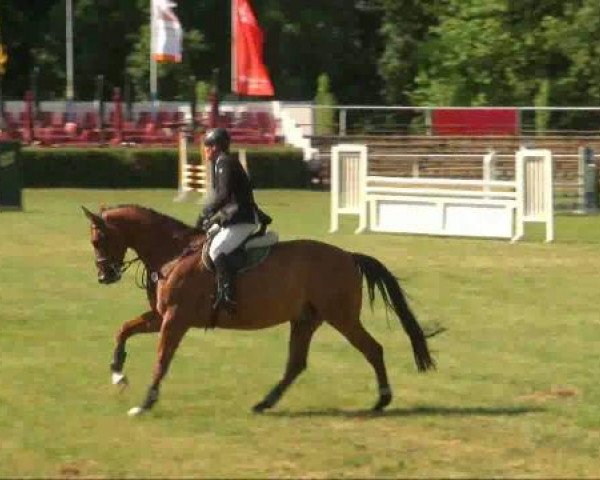 Turnier in Löbnitz
Freitag, 17. Juni 2011
01 Springpferdeprüfung Kl L