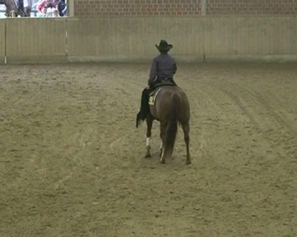 Video of Sheza Custom Crome