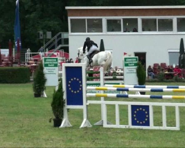 Turnier in Löbnitz
Samstag, 18. Juni 2011
07/2 Punktspringprüfung Kl. M +