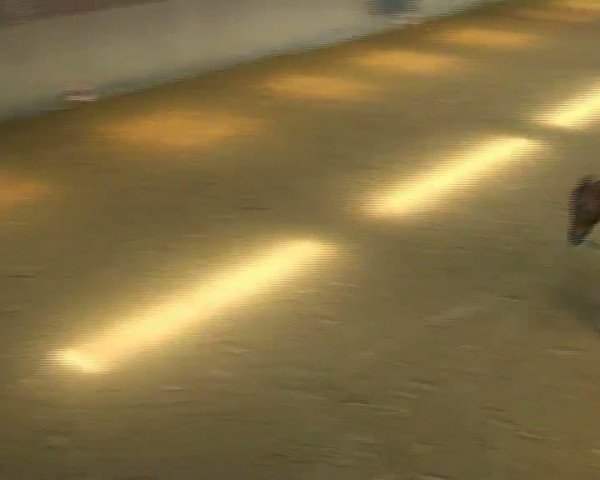 Video di sconosciuto
