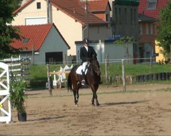 RFV-Seeben
Samstag, 28. Mai 2011
14 Springprüfung Kl A++
