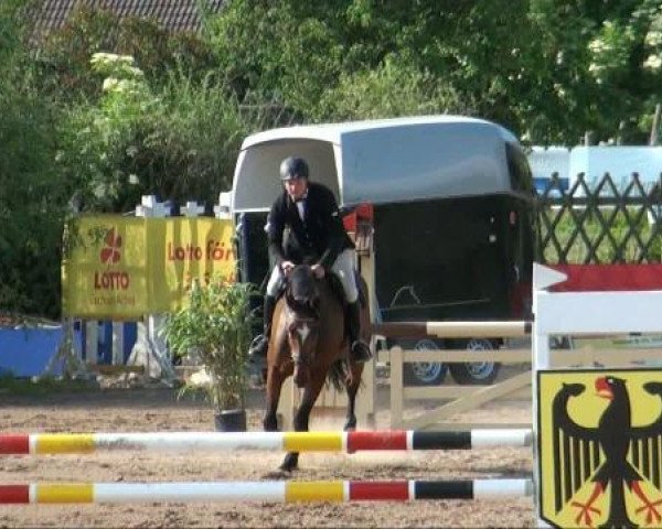 RFV-Seeben
Samstag, 28. Mai 2011 
14 Springprüfung Kl A++