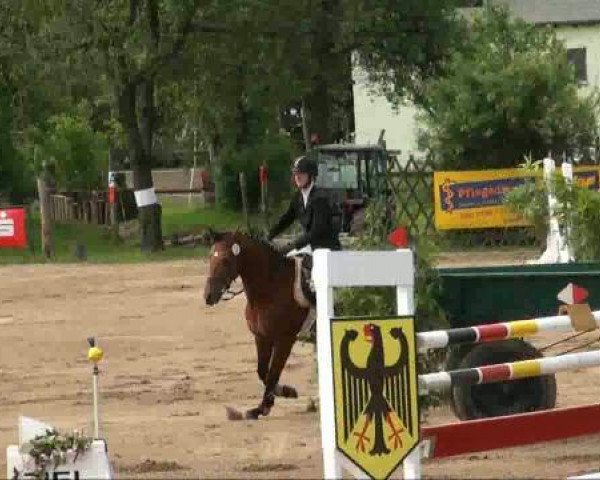 RFV-Seeben 
Sonntag, 29. Mai 2011  
15 Springprüfung Kl L