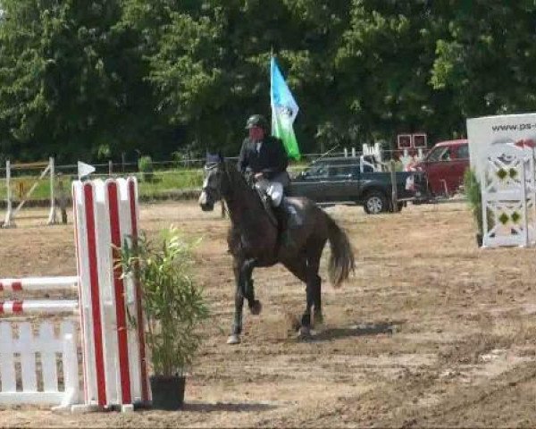 RFV-Seeben
Samstag, 28. Mai 2011 
12 Springpferdeprüfung Kl L
