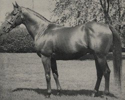 stallion Solar Slipper xx (Thoroughbred, 1945, from Windsor Slipper xx)